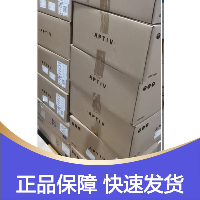 APTIV德尔福端子12065196 原装正品现货 国内代理直供