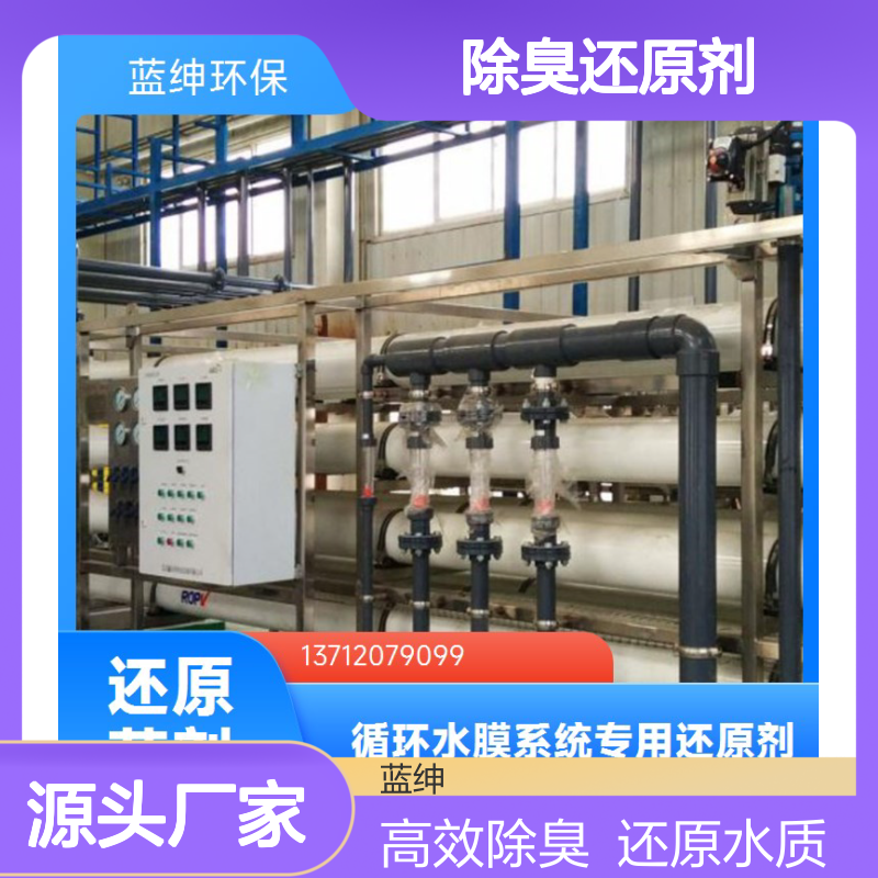 蓝绅环保 RO膜系统药剂 除臭还原剂 有效解决水中余氯 厂家供应