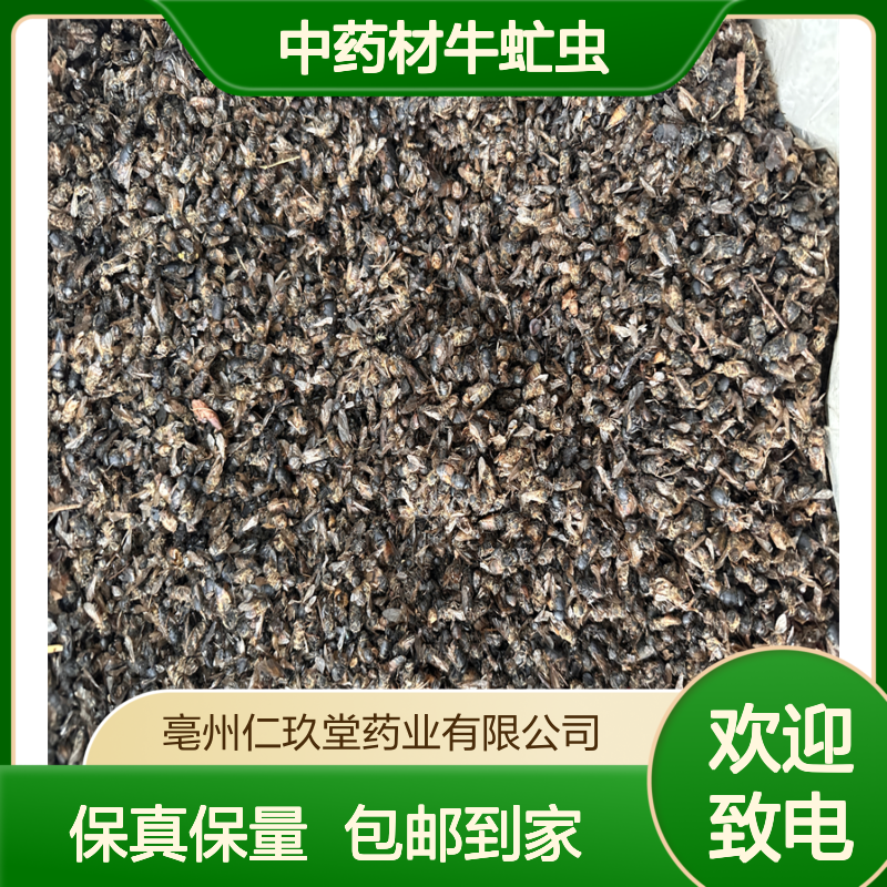 仁玖堂中药材牛虻虫 精选货 无硫货 高含量 保真保量 一斤也是批发 包邮