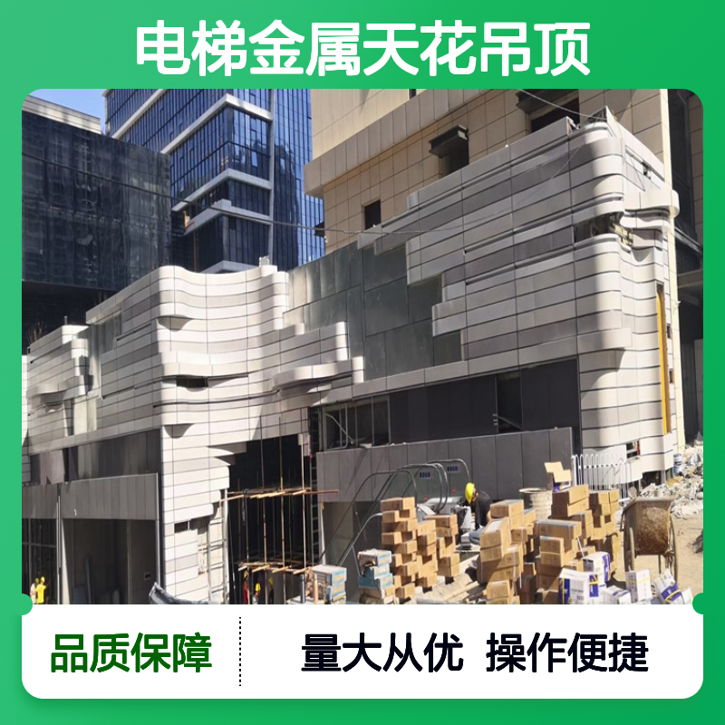 电梯专用 艺术金属天花吊顶 定制化设计 满足多样建筑风格