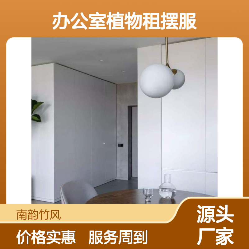 办公室植物租摆服务 专业团队维护 货源充足 分工明晰