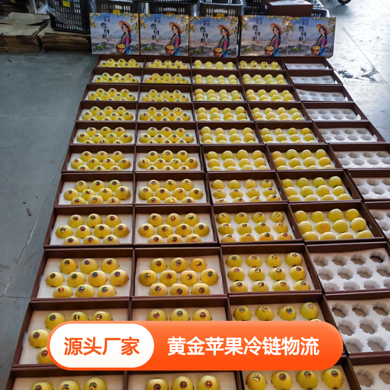 维纳斯黄金苹果冷链物流 精品专线 长途运输 鲜果直达