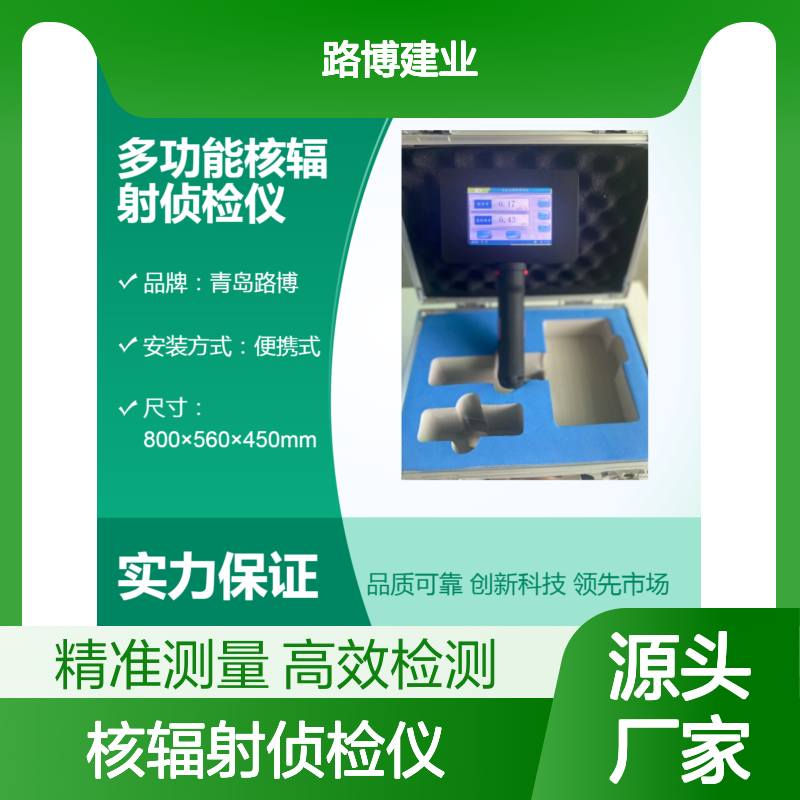 多功能核辐射侦检仪 高效检测 可设置探头参数