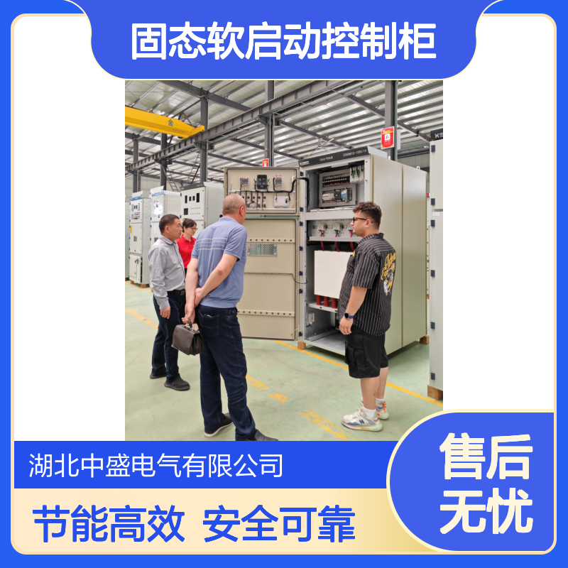 节能型ZSSGQH3高压固态软启动控制柜 源头厂家