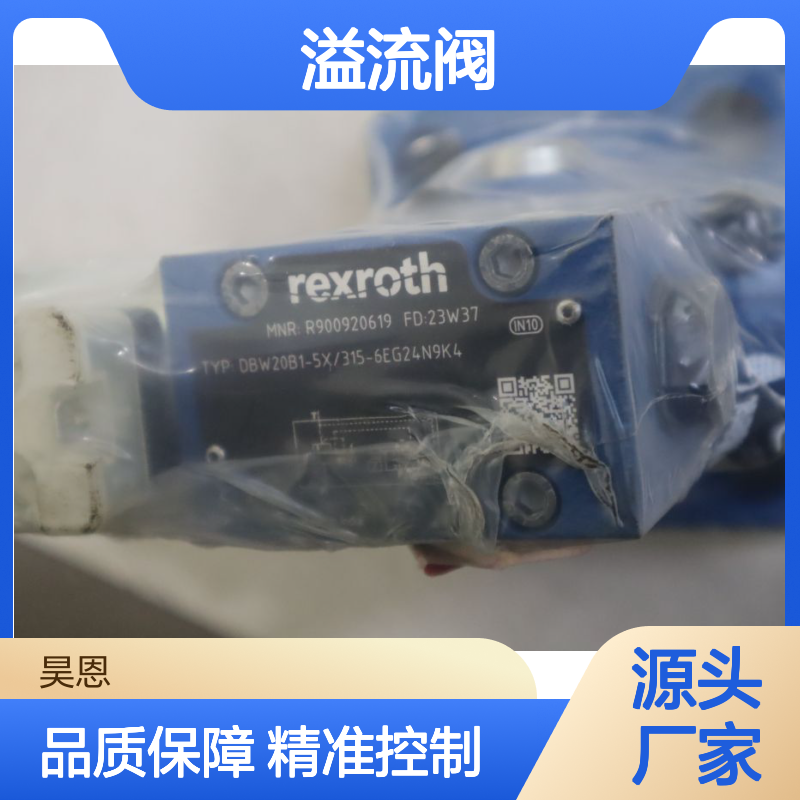 R900920619 DBW20B1-53/315-6EG24N9K4 德国力士乐REXROTH溢流阀