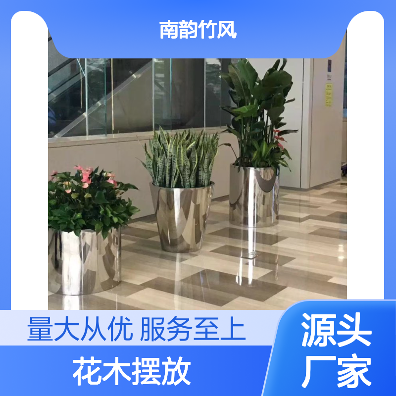 南韵竹风花木摆放服务 承接绿化工程 品种多样