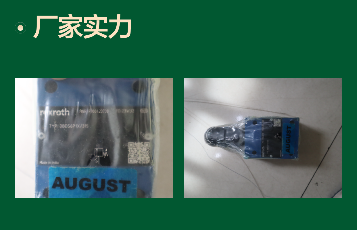 R900423730 DBDS6P17/315 DBDS6P18/315 德国力士乐REXROTH溢流阀