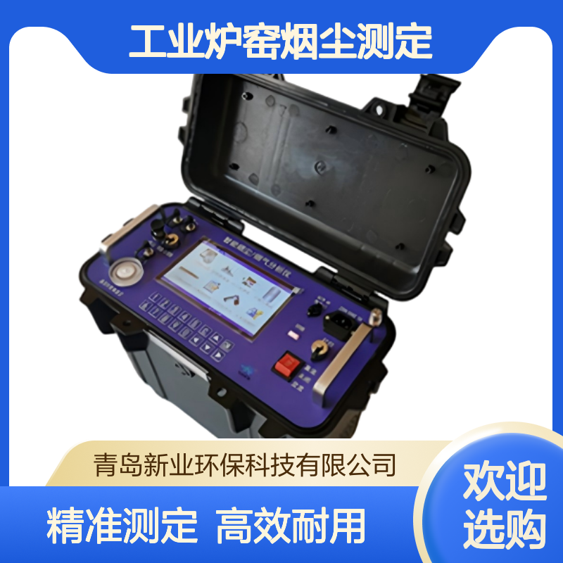 固定污染源XY-2000E烟尘烟气测试仪 锅炉工业炉窑烟尘测定