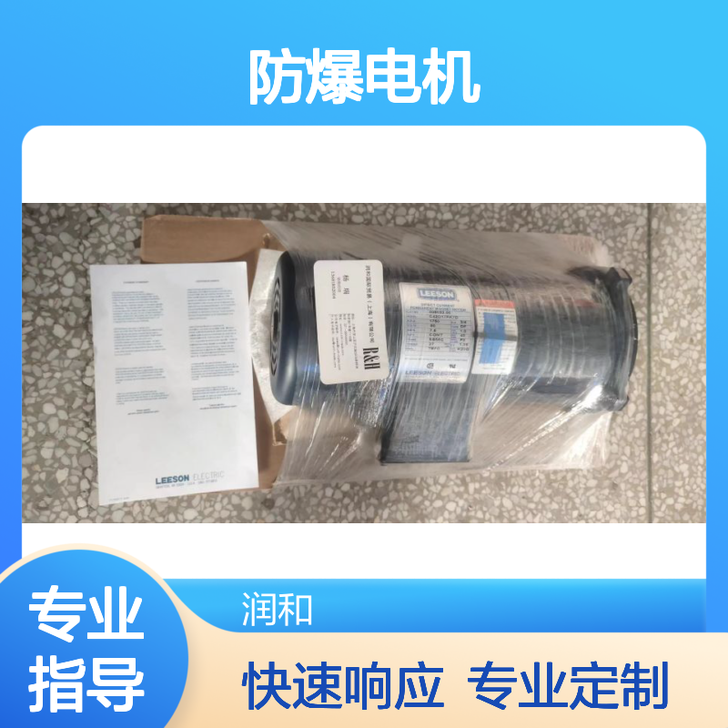 美国LEESON防爆电机 驱动器 电机 适用于多种工业场景