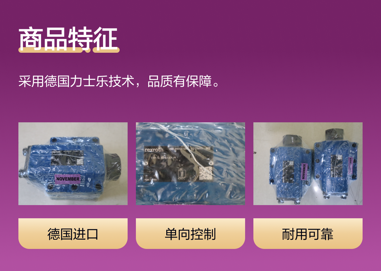 SL30PA1-4X/M SL30PA1-42/M R900587560 德国力士乐REXROTH单向阀