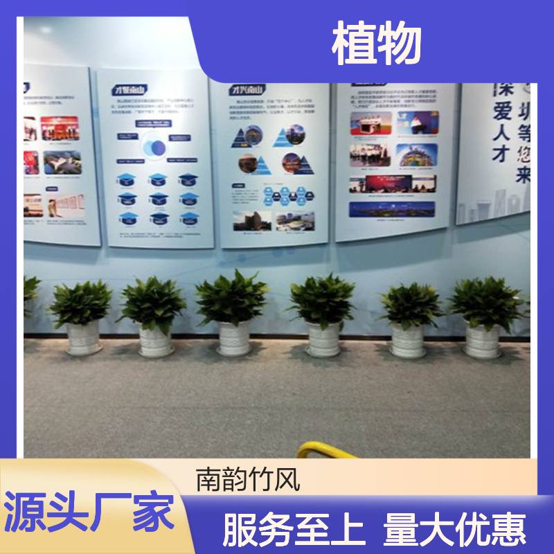 南韵竹风 绿化工程 设计施工一站式服务 成活率高