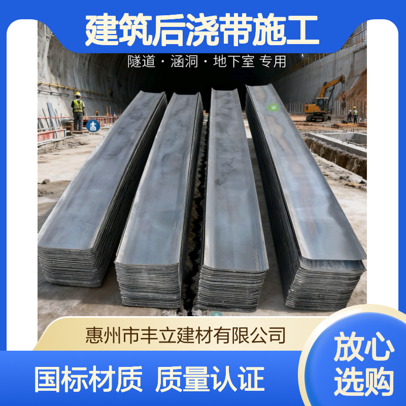 丰立 止水钢板 建筑后浇带施工钢板止水带 2-4mm可加工 现货销售