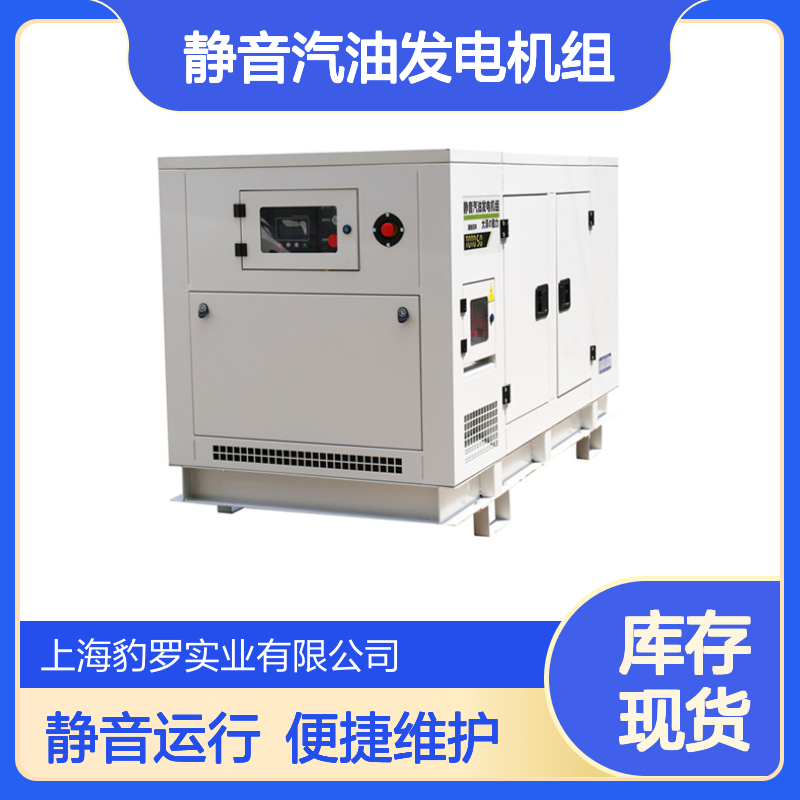 大泽动力50kw静音汽油发电机组养殖场养鸡场备用 全自动无刷免维护