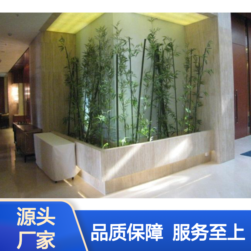 南韵竹风植物租赁服务 承接绿化工程 成活率高