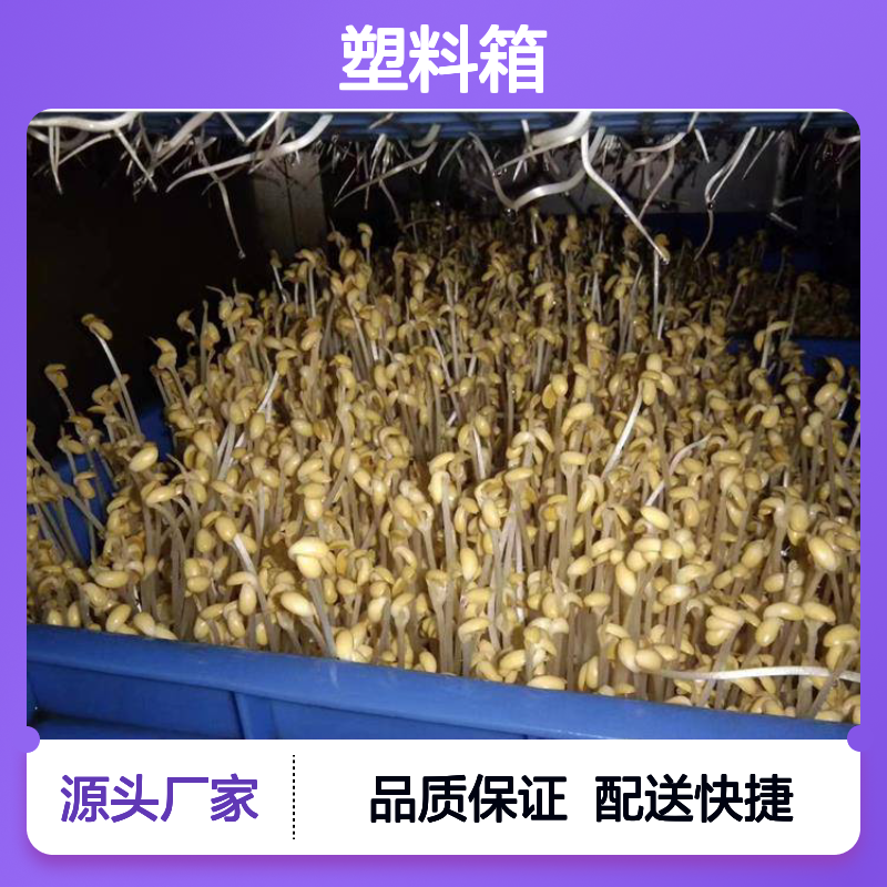 乔丰塑胶周转箱 食品级材料 耐用 规格齐全 灵活定制