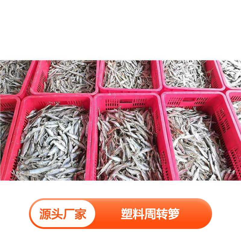 乔丰新款A2塑料周转箩 坚固耐用