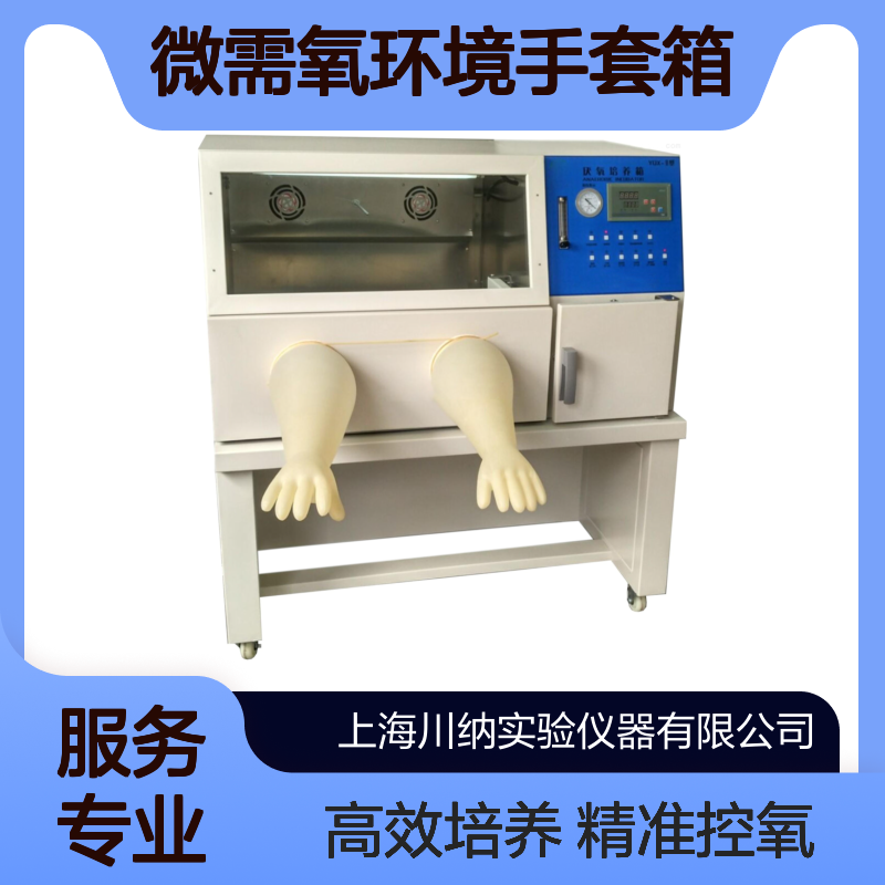 微需氧环境手套箱无氧 缺氧操作室 除氧催化器 厌氧均培养 YQX-II