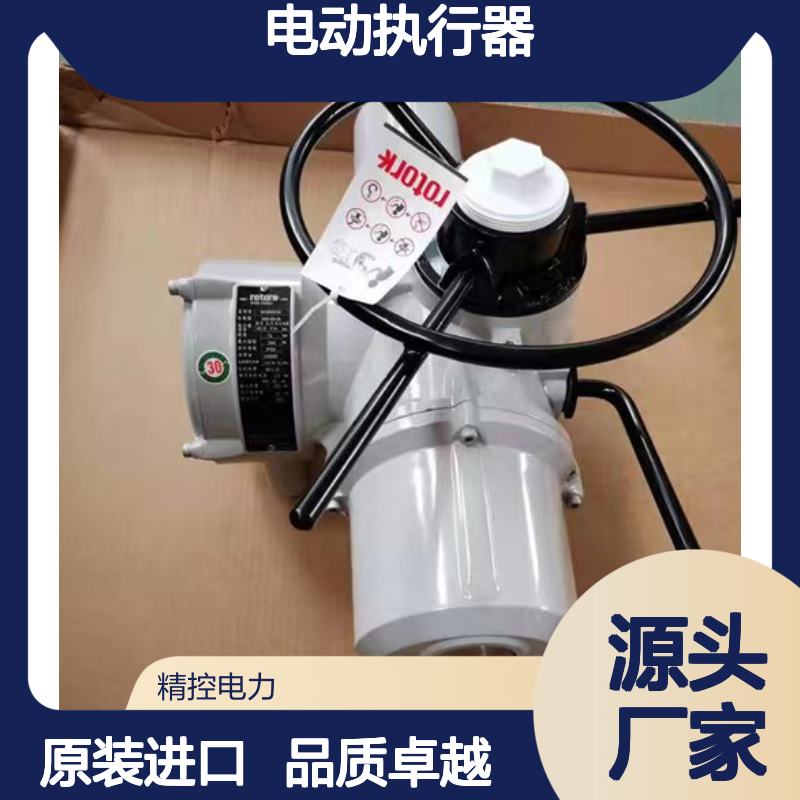 英国ROTORK 罗托克电机驱动板原装进口Rotork电动执行器IQ20F10B4