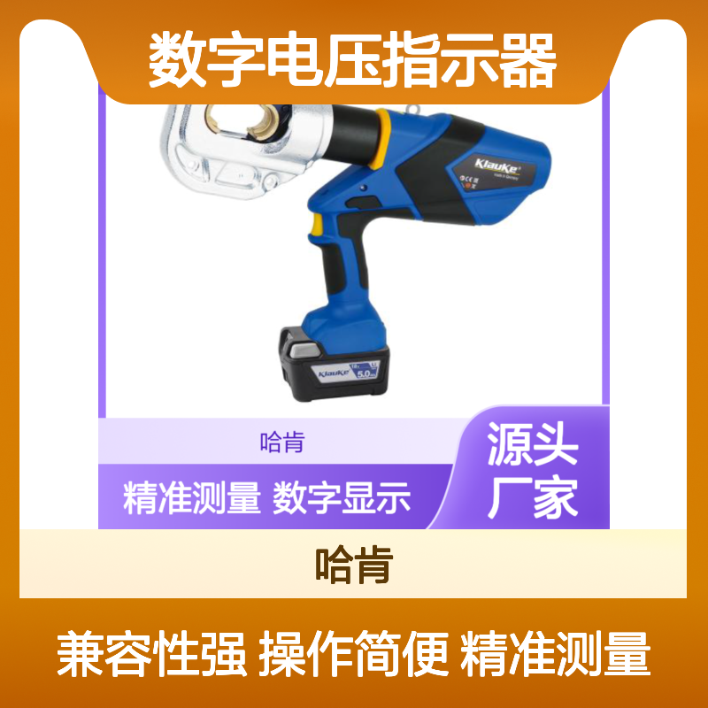 EK12042CFM <> AT-100避雷器测试仪DVI-500/DVI-100数字电压指示器
