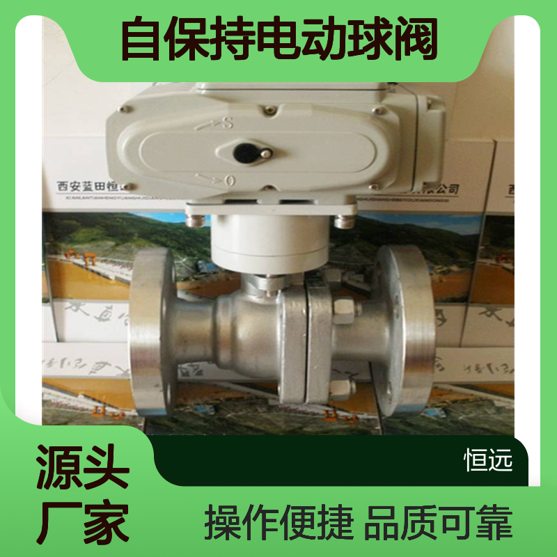 水电厂二位二通双动自保持电动球阀ZBF22QS-50材质