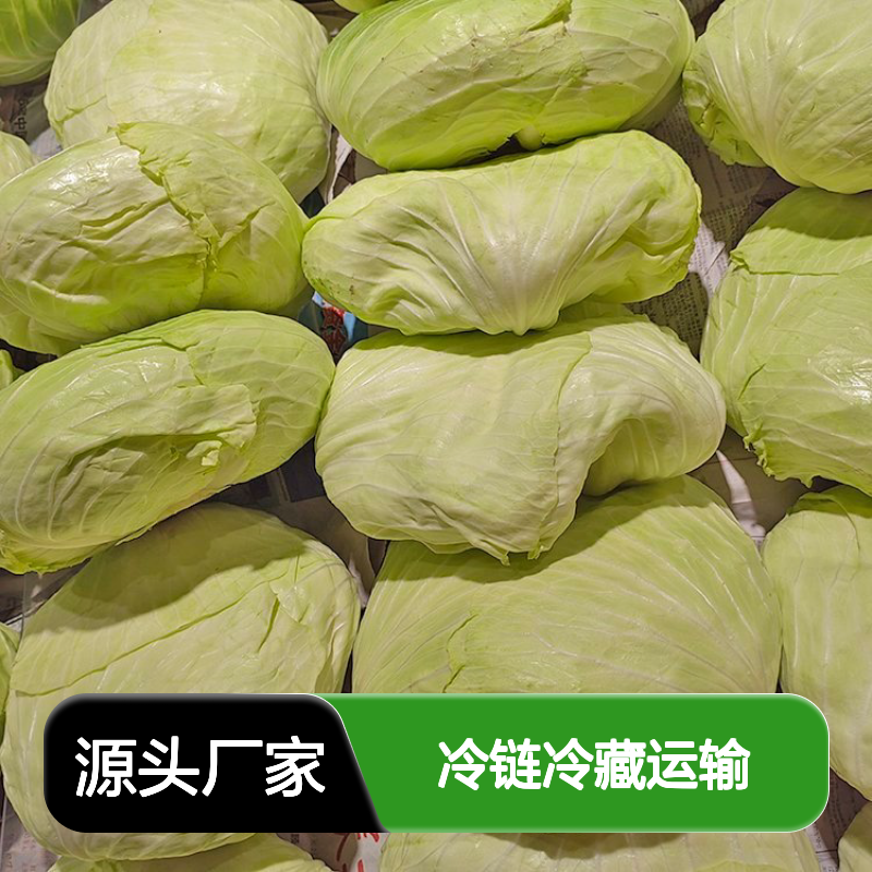冷链冷藏运输专线 农产品禽肉海鲜水产品专业配送 全程监控