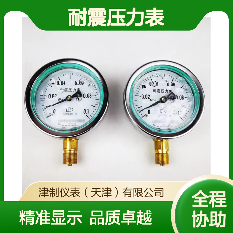 耐震压力表 显示清晰 不锈钢材质 指针显示 自来水厂 密封性好