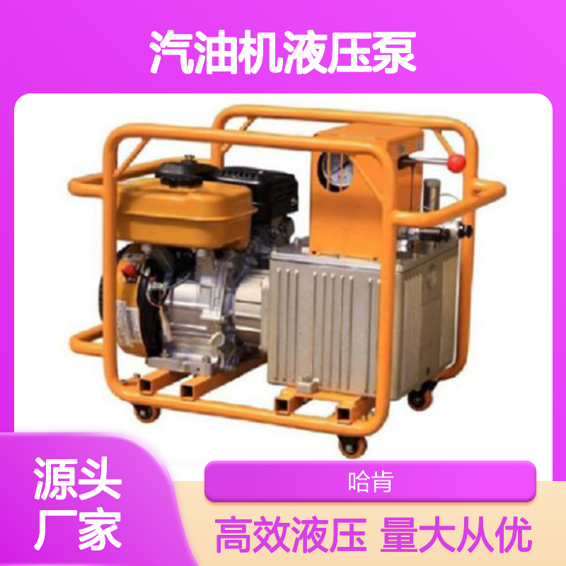 日本IZUMI汽油机液压泵 HPE-160M EP-100W R14E-H REC-6510 REC-MM636
