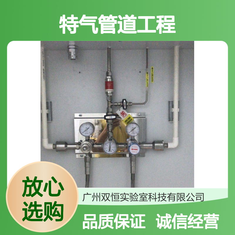 实验室特气管道工程 一站式服务 半导体芯片医药生物适用