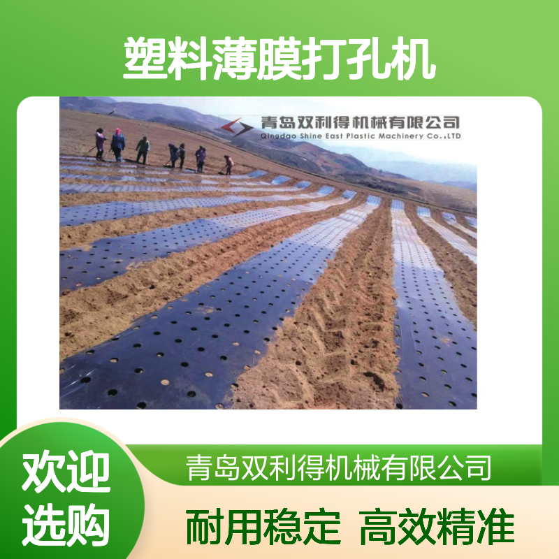 塑料薄膜打孔机生产线根据客户需求定制地膜打孔设备