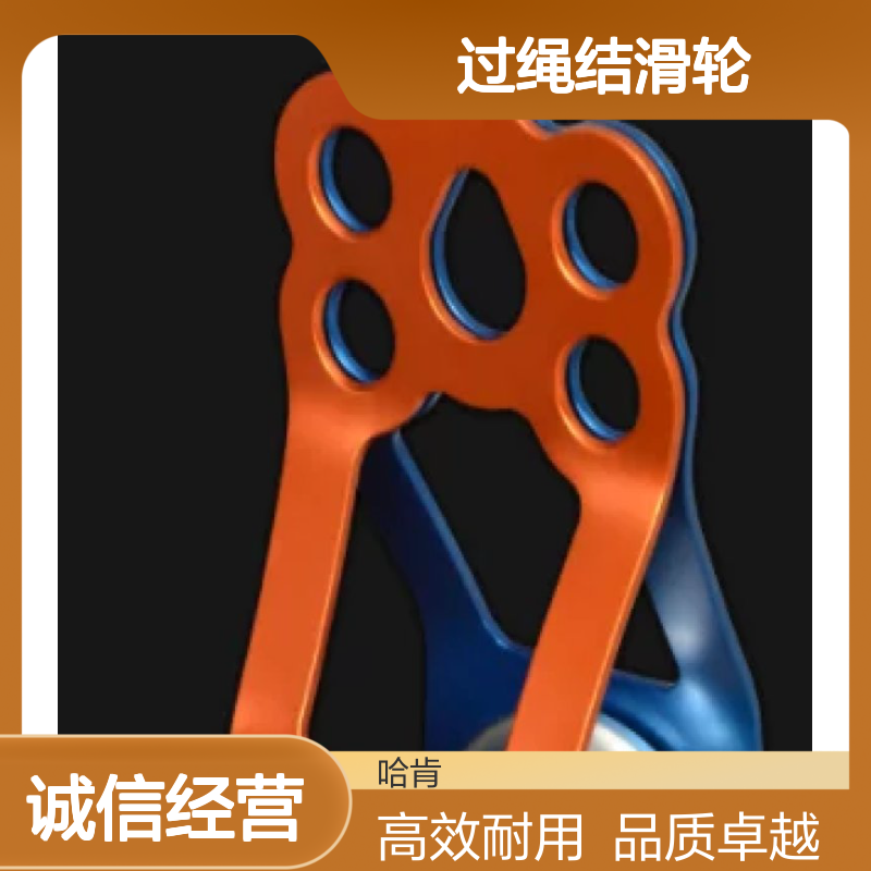 哈肯国际总代理供应 过绳结滑轮 P3 密封球轴承 Kootenay Ultra