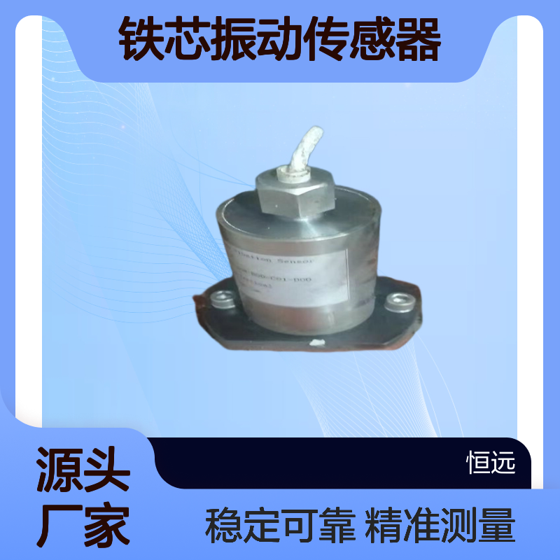 电站机组定子铁芯振动传感器TVS-201H标配 水电站机组自动化元件