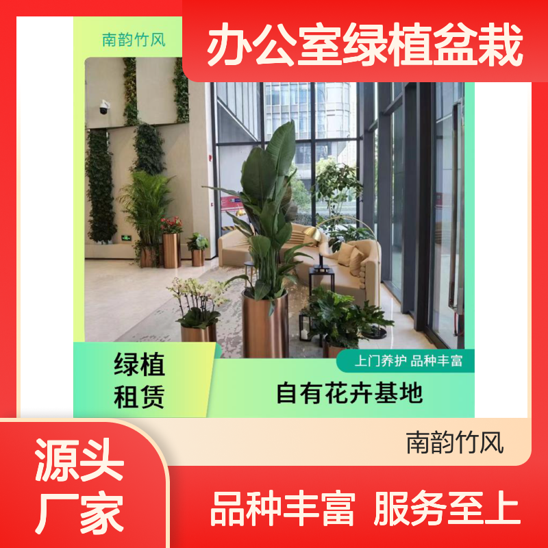 办公室绿植盆栽摆放效果图 植物租摆服务先出图后摆放