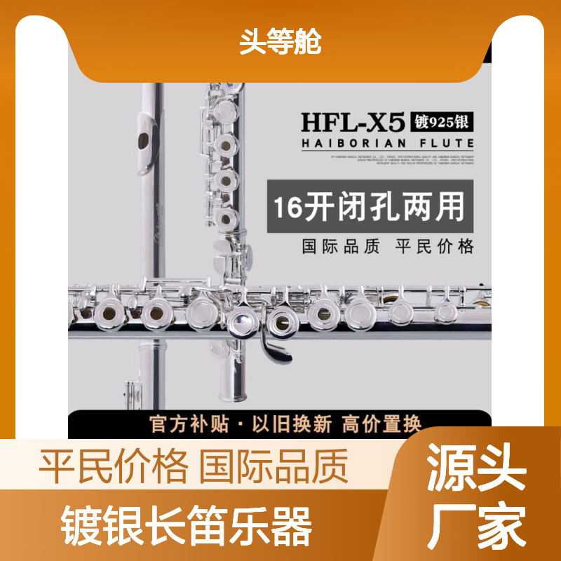 法国海博瑞恩 C调16开闭孔镀银长笛乐器初学入门考级演奏成人