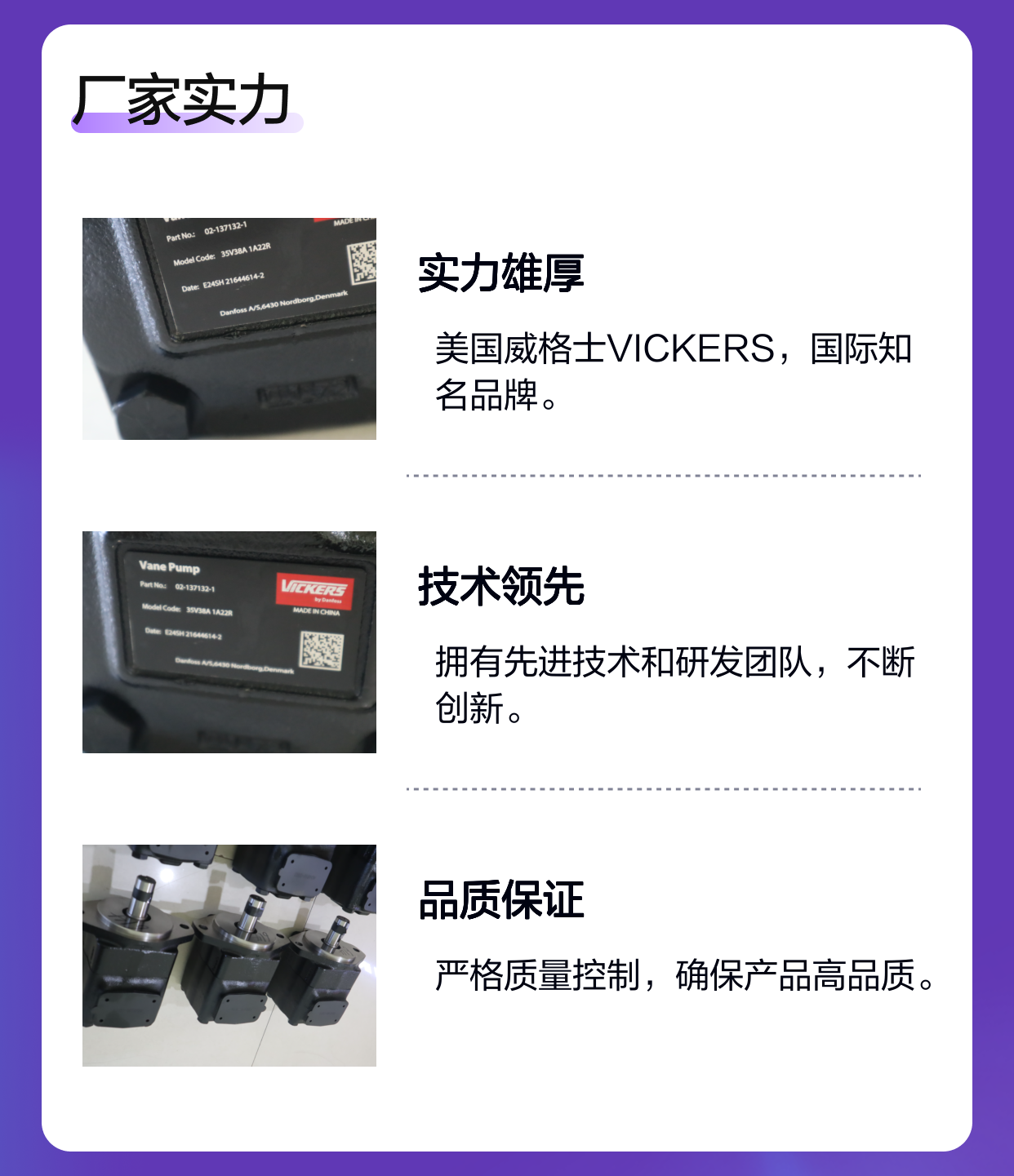 35V38A 1A22R 02-137132-1 美国威格士VICKERS DANFOSS丹佛斯叶片泵