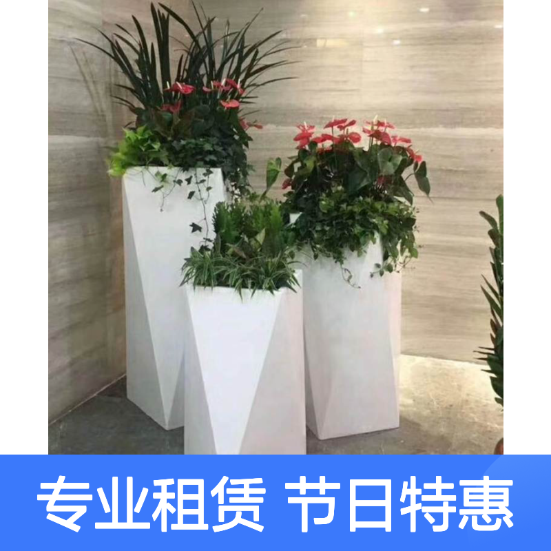 深 圳花卉租赁 公司绿植盆栽养护 每周上门1-2次 不i定期更换