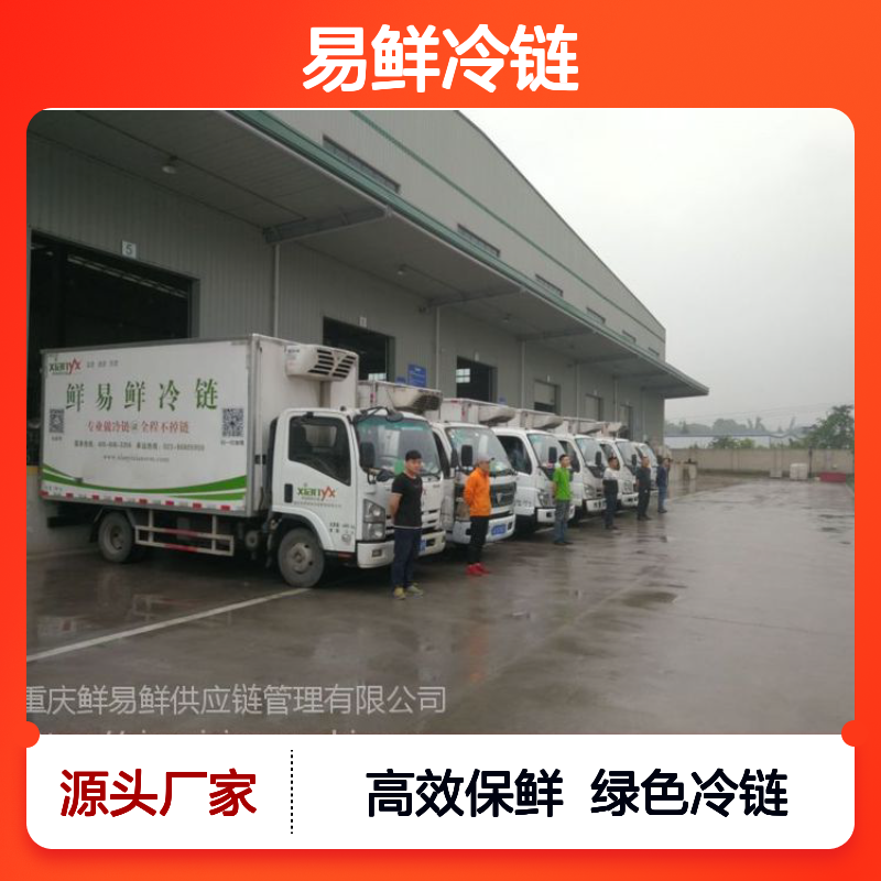 鲜易鲜冷链 广州到重庆冷冻物流 冷藏配送 冷链物流绿色高效