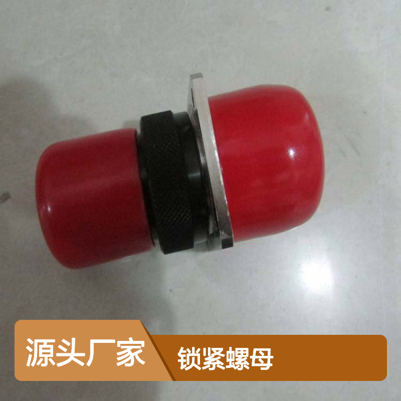 航欧机电代理 SPECTRUM锁紧螺母MSR10.0,75常用型号备有现货