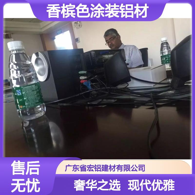 香槟色涂装铝材：打造现代优雅家居的奢华之选 表面色彩 彩色烤漆