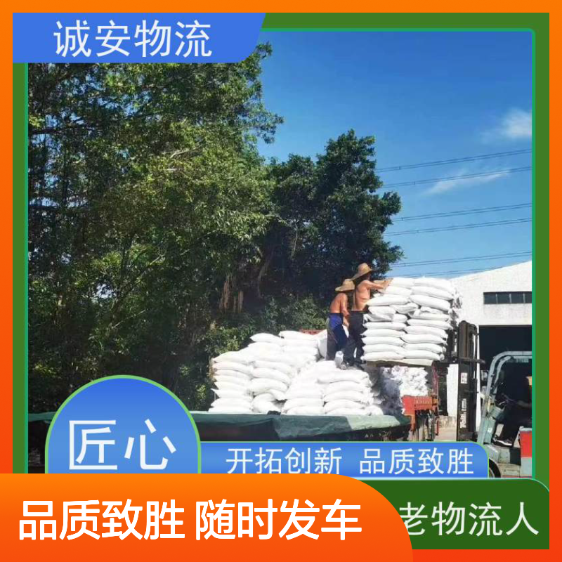 诚安物流 平板车 河源到东莞 专人跟单 随时发车
