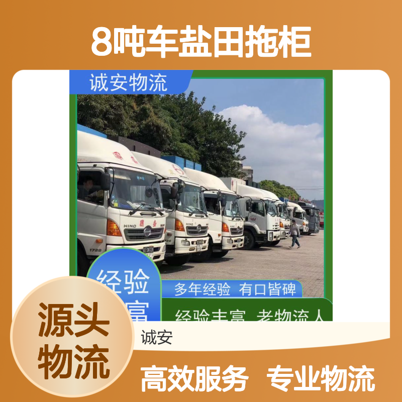诚安物流8吨车盐田拖柜一般贸易买单报关半天到
