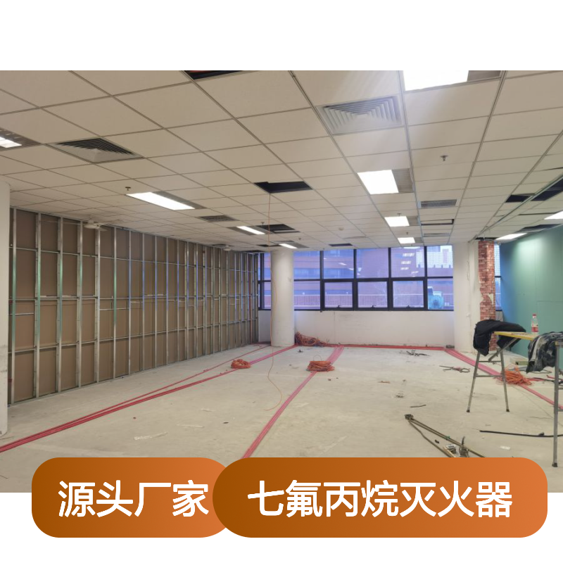 七氟丙烷灭火器 维保检测更换服务 安全可靠 技术精湛