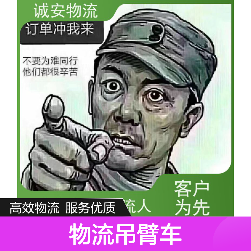 诚安物流吊臂车阳江到深圳一般贸易买单报关半天到