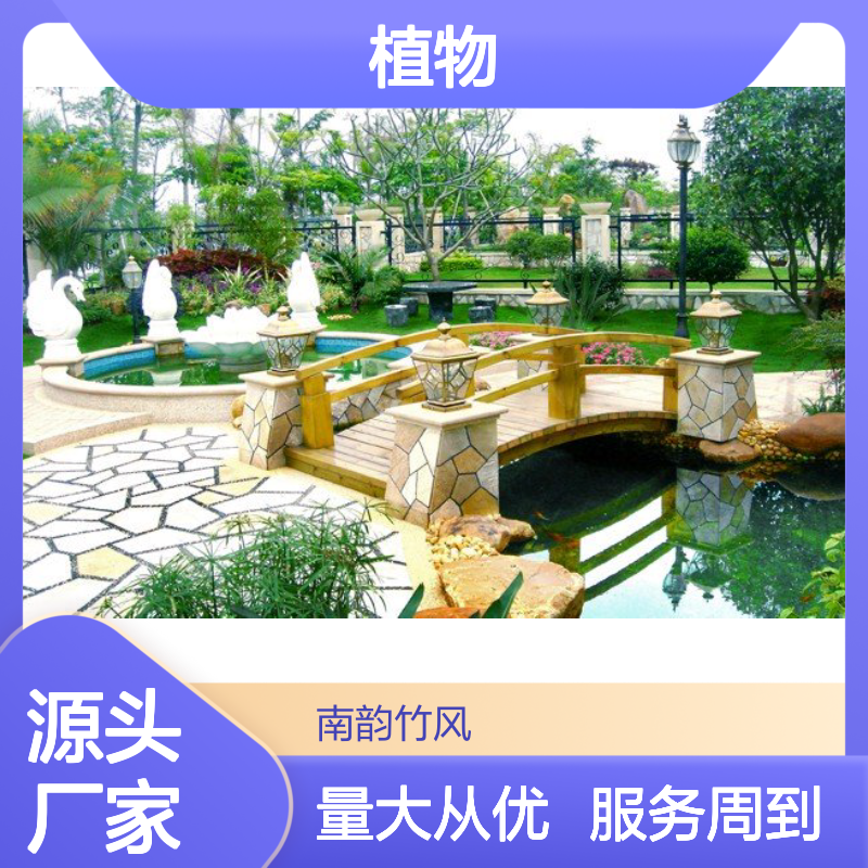 南韵竹风 植物租摆服务 全程养护 品种多样 成活率高