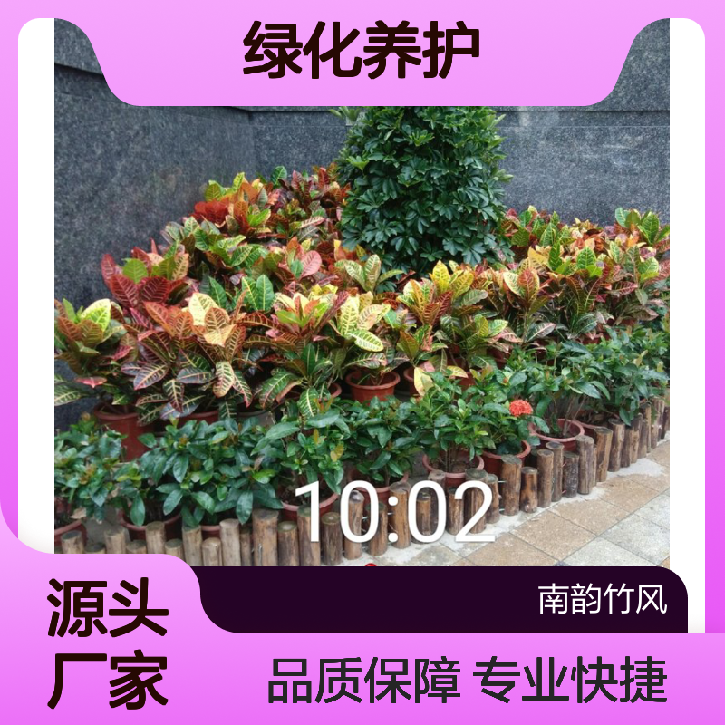 园林工程 绿化景观 园 林改造 绿化养护 团队协作 专业快捷