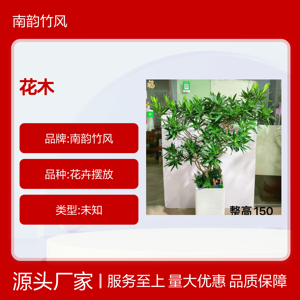 南韵竹风绿植租赁 承接绿化工程服务 货源充足