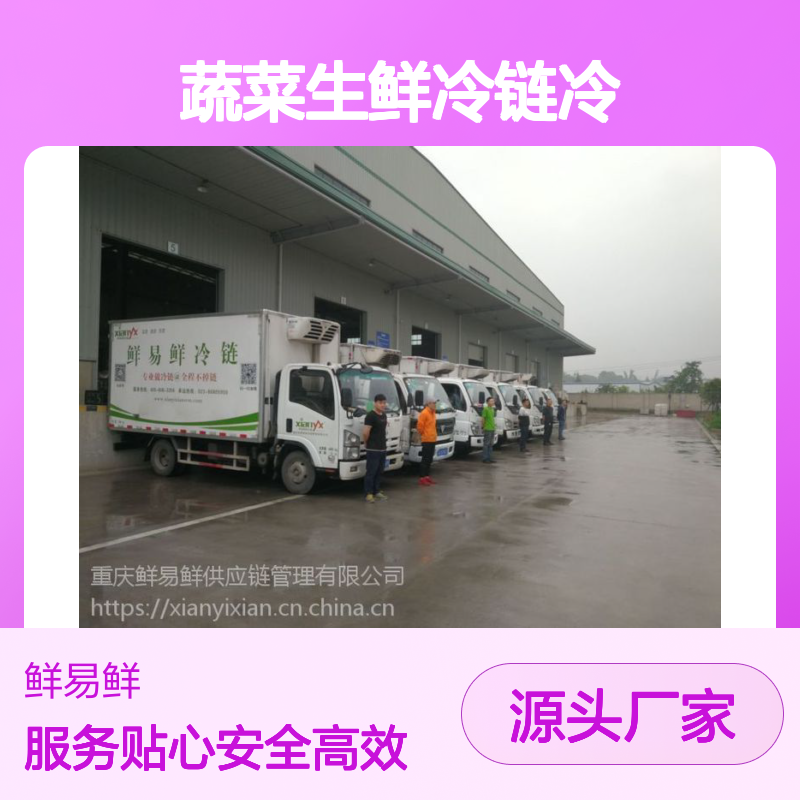 佛山到上海食品冷链运输 蔬菜生鲜冷链冷藏 海鲜冷冻 专业物流公司