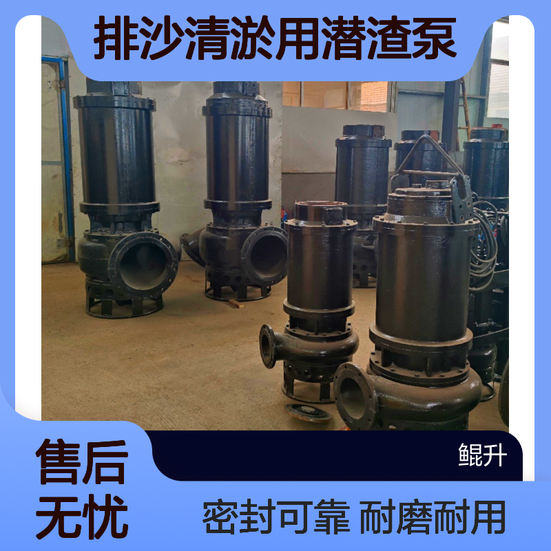 沉砂池潜水型抽泥沙泵 排沙清淤用潜渣泵 耐磨耐用 密封可靠