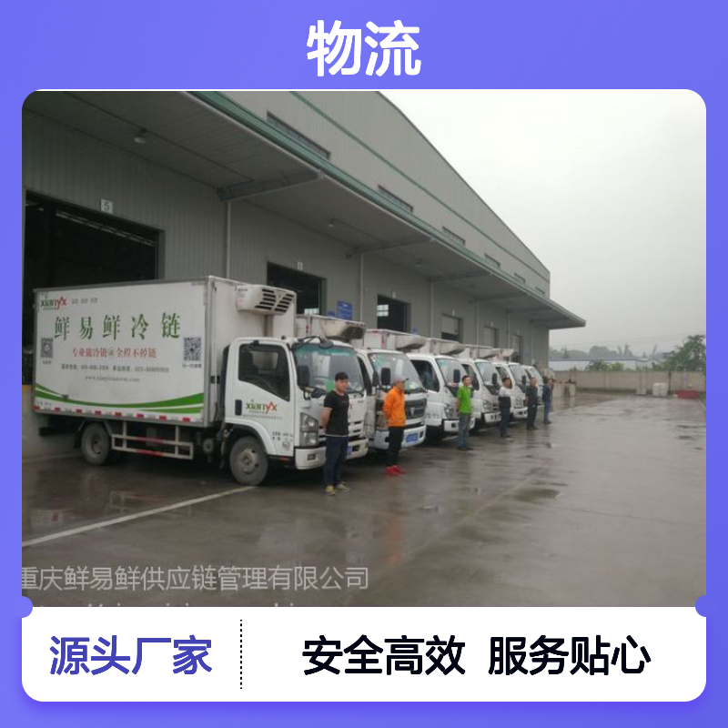 广州到雅安物流公司 专业运输 冷链物流 海鲜冷冻专线