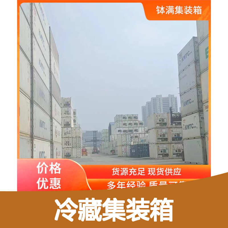 冷藏集装箱 冷冻货柜 租赁出租 食品保鲜 冻品储存 专业维护服务