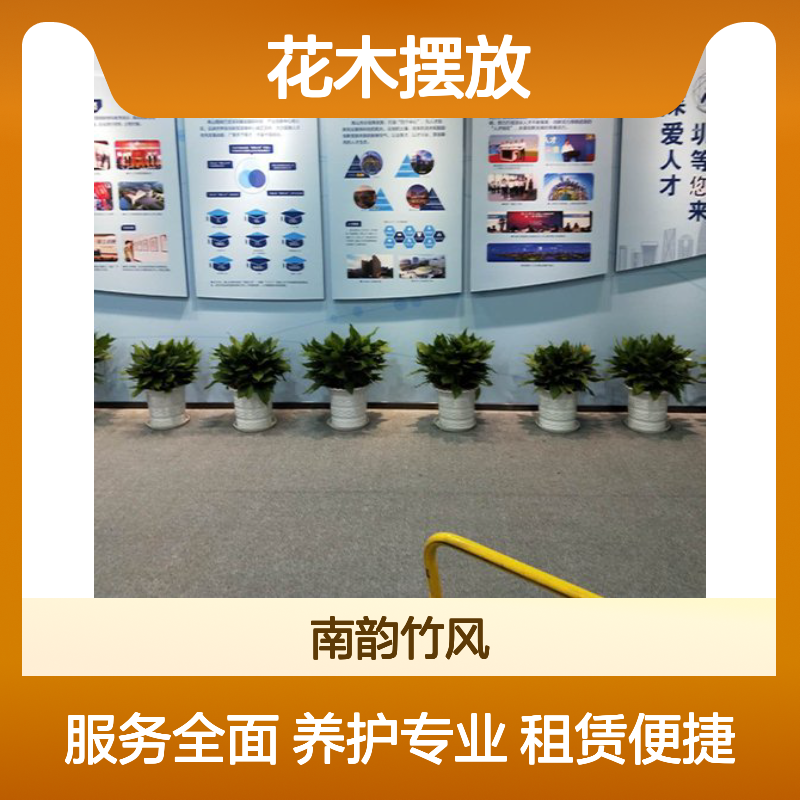 花木摆放租赁服务 南韵竹风专业提供 品种多样